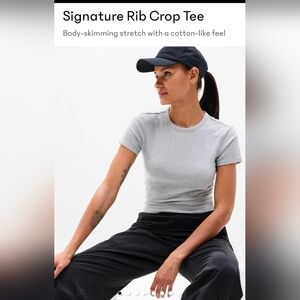 NWT Athleta Signature Rib Crop Tee in Baby Blue Large